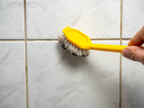 Trusted La Vernia, TX Mold Removal Experts