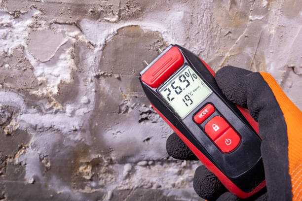 Best Residential Mold Removal  in La Vernia, TX