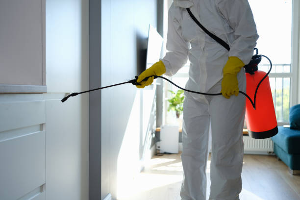 Best Professional Mold Removal  in La Vernia, TX