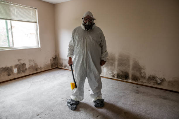 Best Mold Damage Repair  in La Vernia, TX